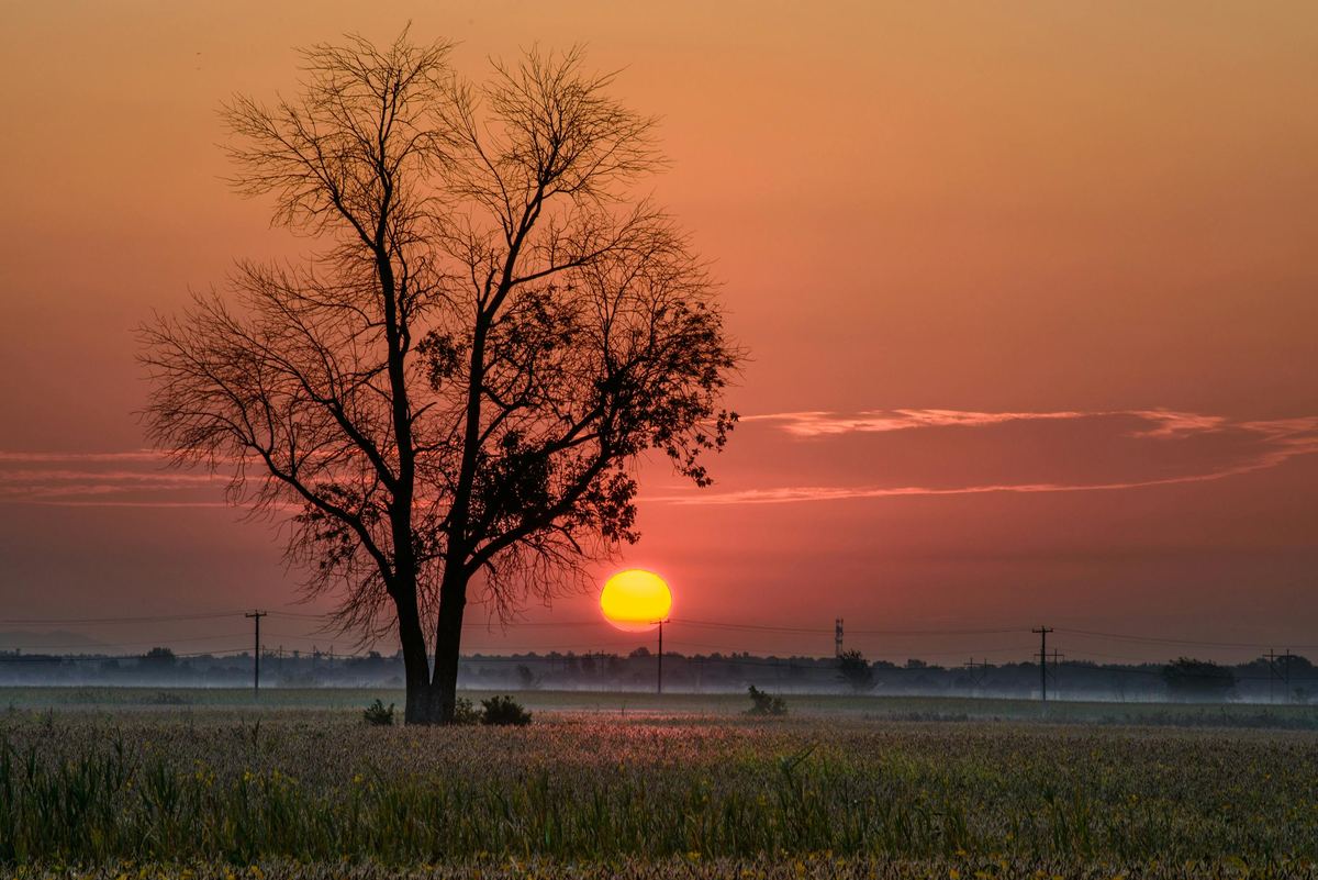 Plains sunrise — a new beginning, open to everyone who qualifies